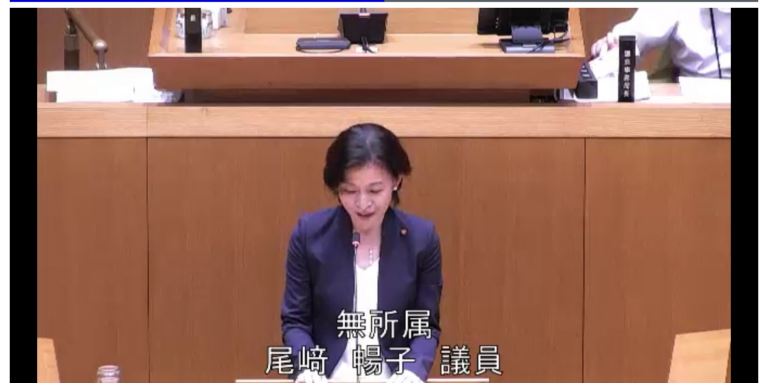 初の議会一般質問